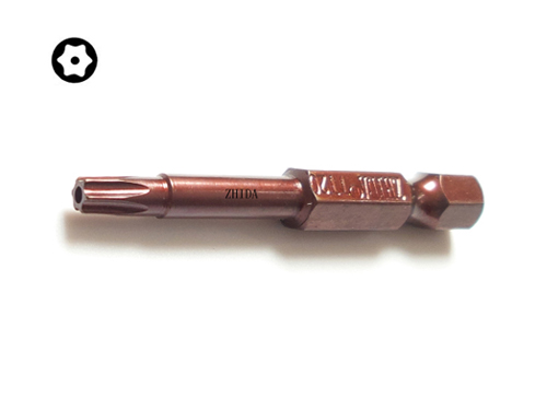 Torx security Screwdriver Bits TT20