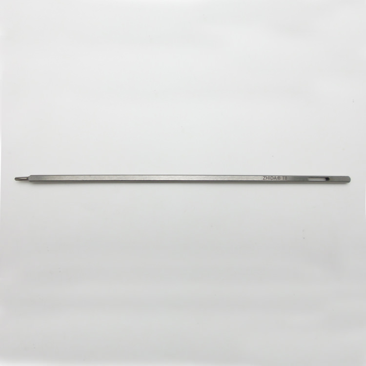 Flat shank Screw Driver Bit T8